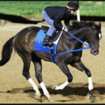 Super Stock in Kentucky Derby Direction