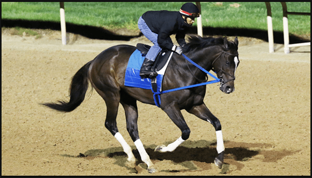 Super Stock in Kentucky Derby Direction